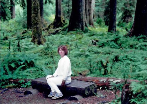 33-Redwoods-Large