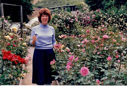 37-Garden-6-Large